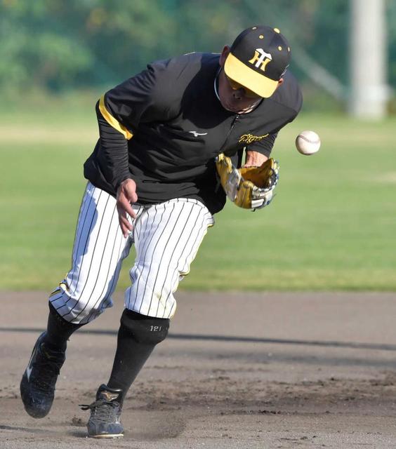 【新品】野口恭佑　ユニフォーム　阪神 EOLZ52JKAJM4JD6RYQ45EMMUBQ.jpg