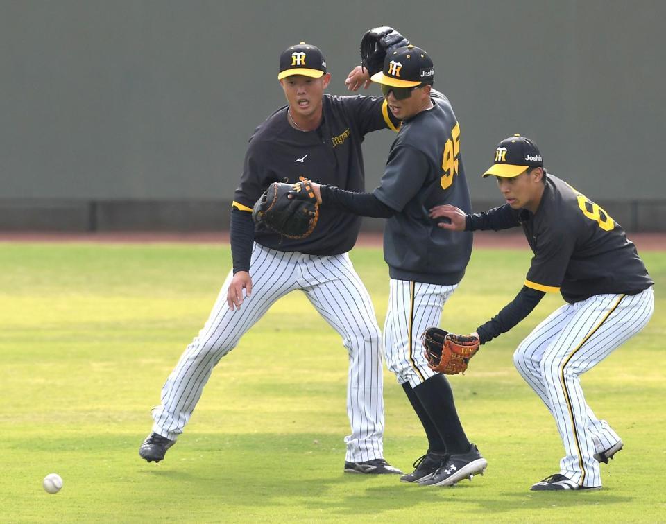　ノックの打球を追う（左から）高浜、片山、植田（撮影・北村雅宏）