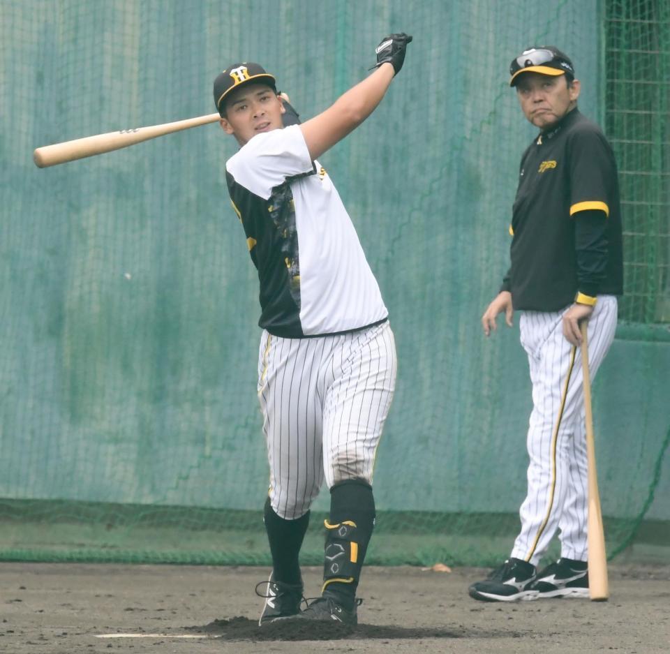 阪神・岡田監督 井上のノーステップ打法に「Ｔもそうやんか