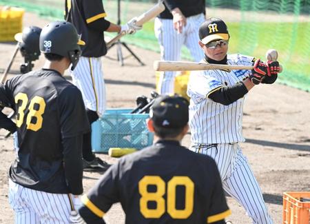 　岡田監督（手前）が見守る中、小幡（左）に高めのティー打撃の手本を示す上本コーチ