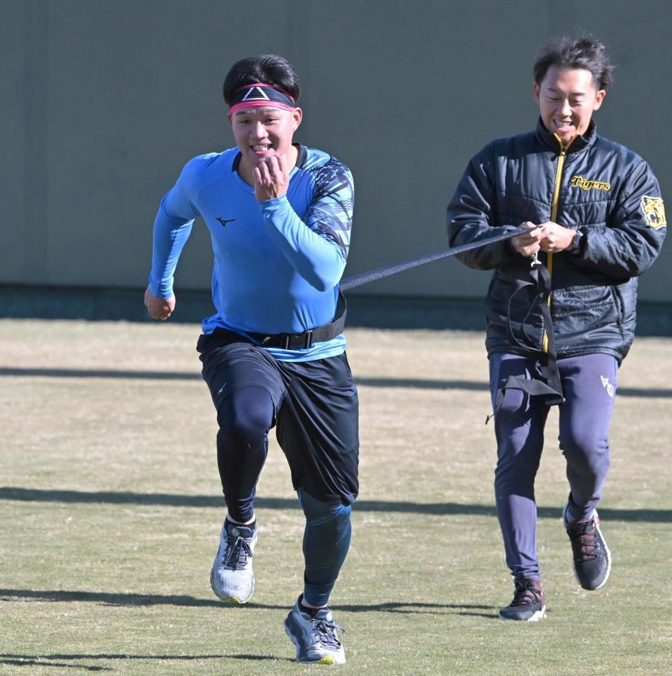 　契約更改交渉前に鳴尾浜でトレーニングに励む森下（撮影・高部洋祐）