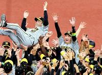 　日本一を決め、胴上げされる岡田監督（左）と喜ぶ近本＝１１月５日、京セラドーム大阪