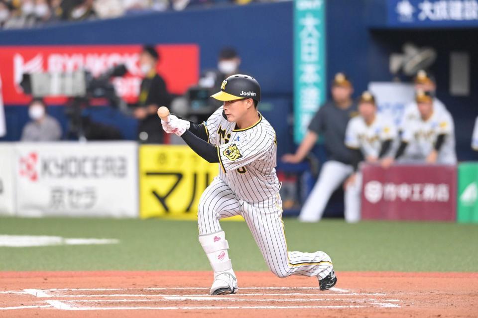 【24時間以内/匿名配送】阪神タイガース 木波聖也 ウル虎 ハイクオリティ L 24時間以内/匿名配送】阪神タイガース 木波聖也 ウル虎 ハイ
