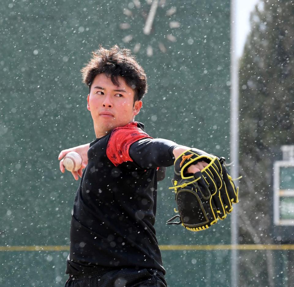 　雨が降る中、投げ込む椎葉（撮影・田中太一）