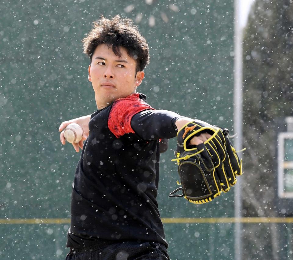 　雨が降る中、投げ込む椎葉（撮影・田中太一）