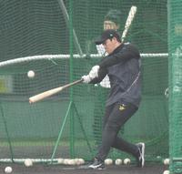 　打撃練習をする大山（撮影・中田匡峻）