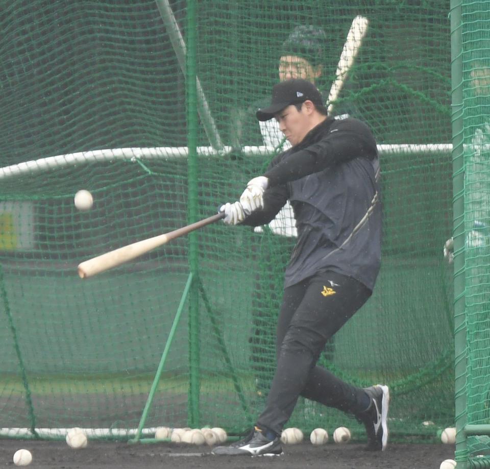 　打撃練習をする大山（撮影・中田匡峻）
