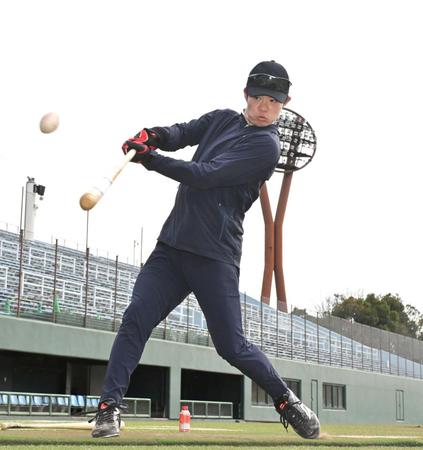 　打撃練習をする中野（撮影・中田匡峻）