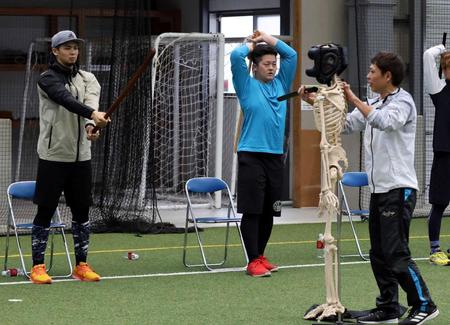 　骨格標本を前に木刀を手にし、動作を確認する阪神・井上（左）とＤｅＮＡ・牧（撮影・山口登）
