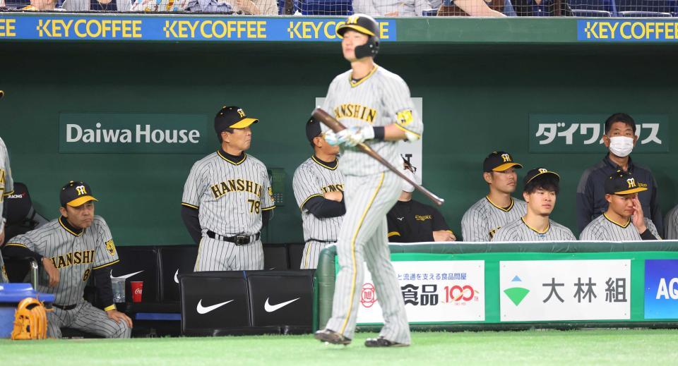 　ベンチから試合を見つめる岡田監督（左）と佐藤輝（前列右から２番目）＝２３年４月