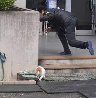 　ファーム事務所に迷い込んだ猫を消防署員が捕獲しようと試みるも失敗に終わり、猫は走って逃げる