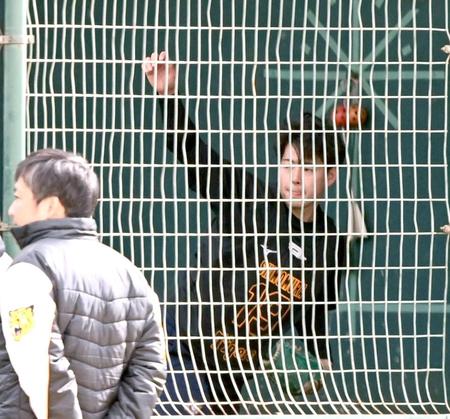 　ブルペンで投げ込む下村（撮影・田中太一）