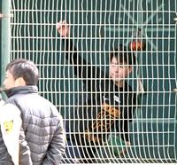 　ブルペンで投げ込む下村（撮影・田中太一）