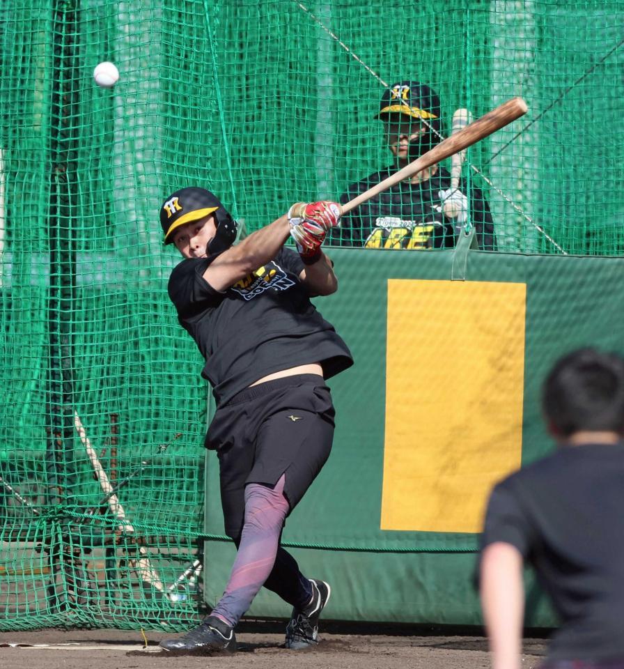 　フリー打撃で快音を響かせる野口（撮影・立川洋一郎）