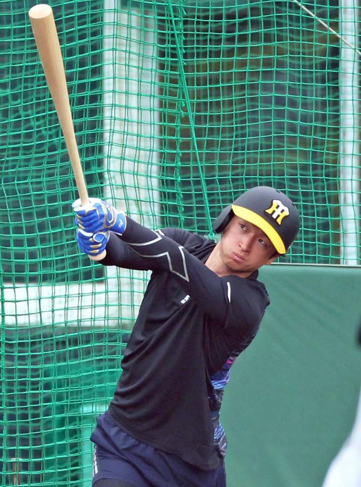 　フリー打撃で打ち込む近本