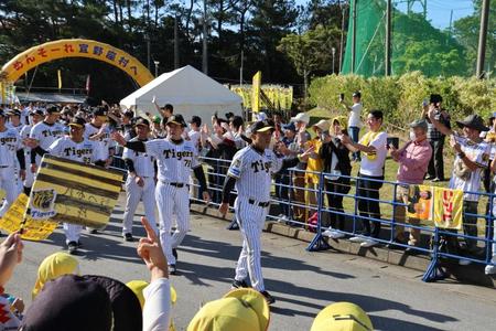 　沿道のファンの歓声を受けながら球場入りする岡田監督、選手ら（撮影・田中太一）