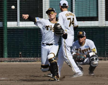 　シートノックを受ける坂本（手前）と梅野（撮影・田中太一）