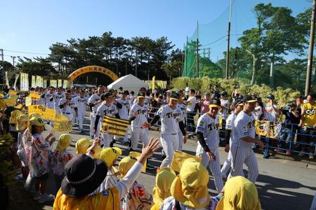 　沿道のファンの歓声を受けながら球場入りする選手ら（撮影・田中太一）