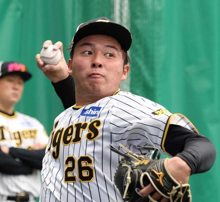 　ブルペンで力投する椎葉（撮影・中田匡峻）