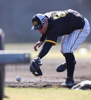 　ノックの打球に食らいつく佐藤輝（撮影・中田匡峻）