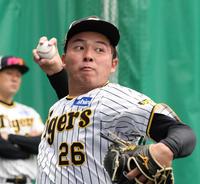 　ブルペンで力投する椎葉（撮影・中田匡峻）