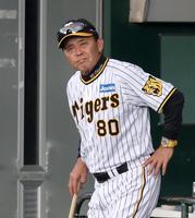 　ベンチから野口の打球を見上げる岡田監督（撮影・田中太一）