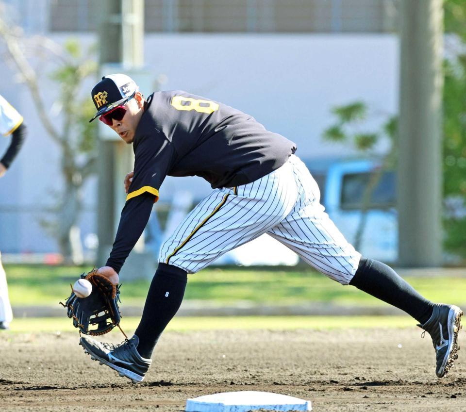 　特守を受け三塁線の打球を追う佐藤輝（撮影・立川洋一郎）