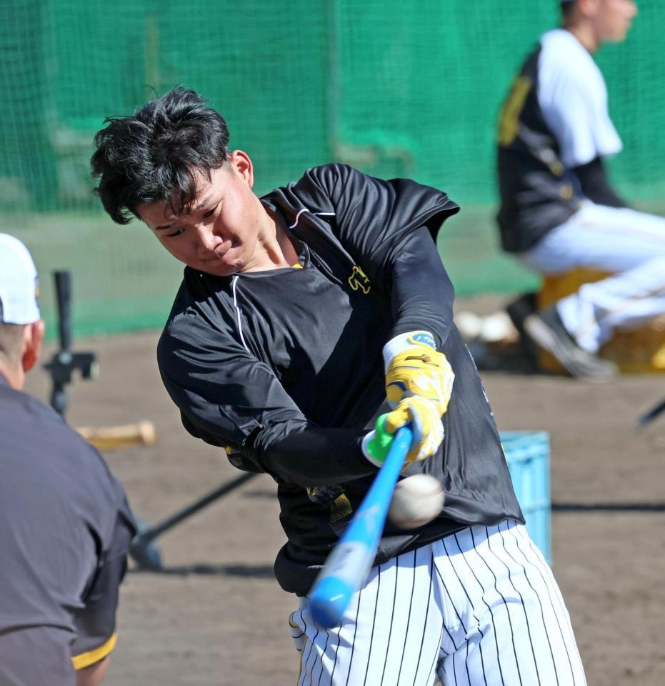 　ロングティーで打ち込む森下（撮影・立川洋一郎）