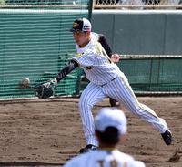 　ノックを受けグラブトスする下村（撮影・山口登）