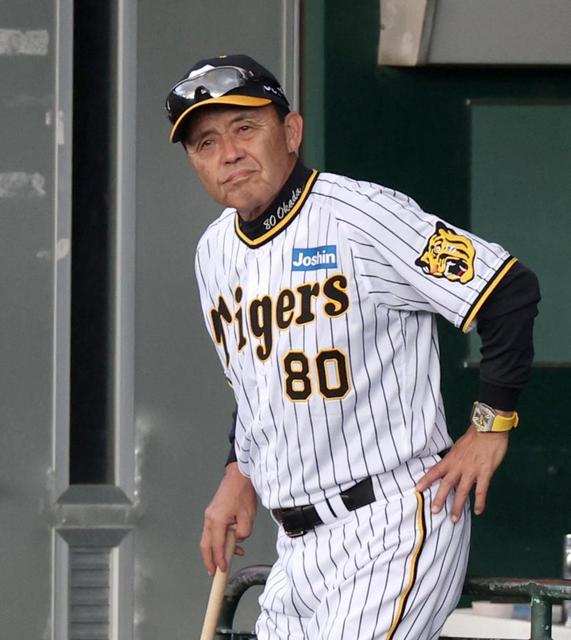 阪神・岡田監督 野口の存在感に「そら魅力や」「天性のもんやろうな