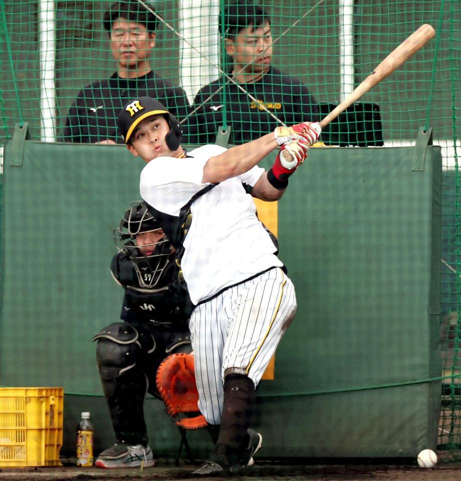 　フリー打撃で柵越えを連発する野口（撮影・田中太一）