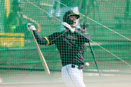 　ランチ特打で打ち込む佐藤輝（撮影・立川洋一郎）