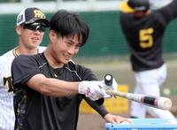 ロングティーで狙いを定める阪神・木浪聖也＝バイトするならエントリー宜野座スタジアム（撮影・立川洋一郎）