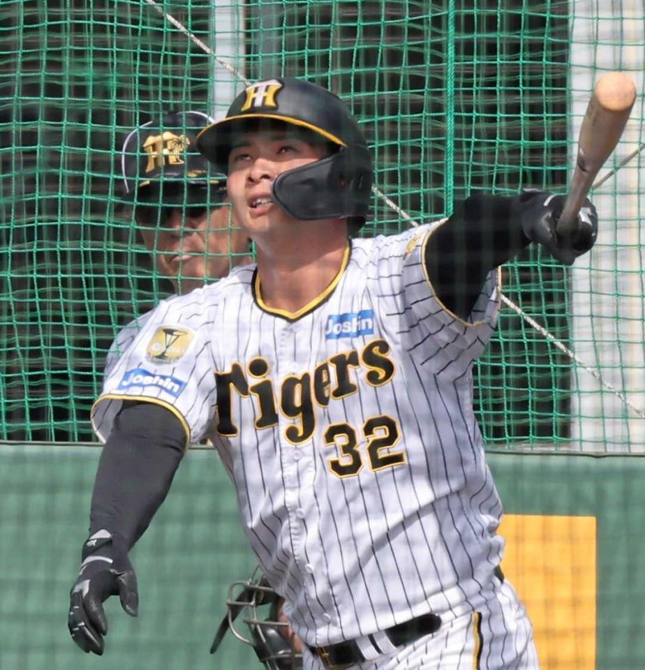 　打撃練習で快音を響かせる井上（撮影・田中太一）