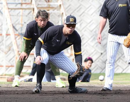 　鳥谷臨時コーチ（後方）の前でノックを受ける佐藤輝（撮影・中田匡峻）