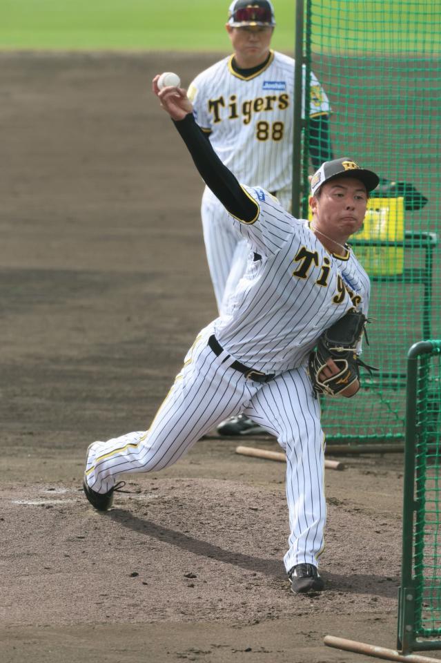 　ランチ特打に登板して打者と対戦する椎葉（撮影・立川洋一郎）