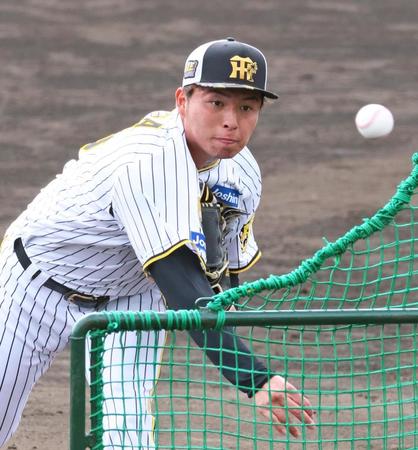 　ランチ特打に登板し初の打撃投手を務め力投する椎葉（撮影・立川洋一郎）