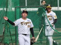 　フリー打撃で前川（右奥）に投じ、打球を見上げる椎葉（撮影・田中太一）