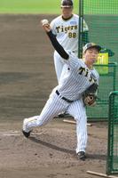 　ランチ特打に登板して打者と対戦する椎葉（撮影・立川洋一郎）