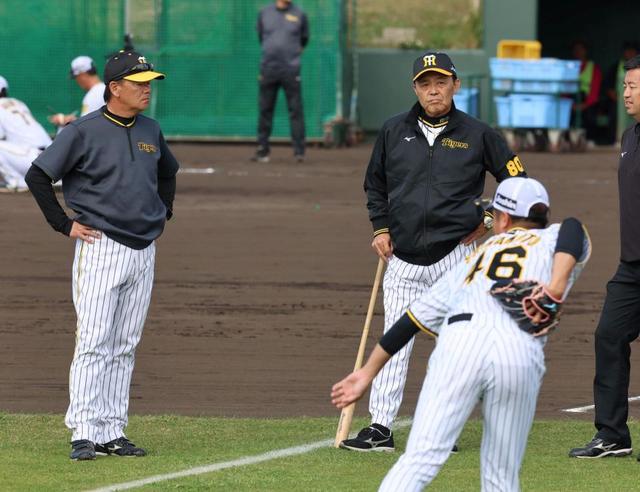 阪神・岡田監督 紅白戦で負けたチームは「阪神園芸に1日いれてな