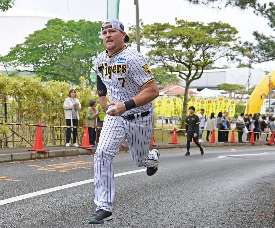 　坂道をダッシュで駆け上がるノイジー（撮影・立川洋一郎）