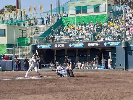 　満席のスタンドで盛り上がる紅白戦（撮影・田中太一）