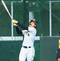 　ランチ特打で柵越えを連発する佐藤輝（撮影・飯室逸平）