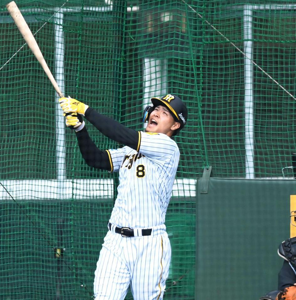 　ランチ特打で柵越えを連発する佐藤輝（撮影・飯室逸平）