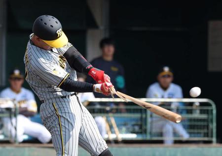 　３回、バット折りながら左前に適時打を放つ野口（撮影・山口登）