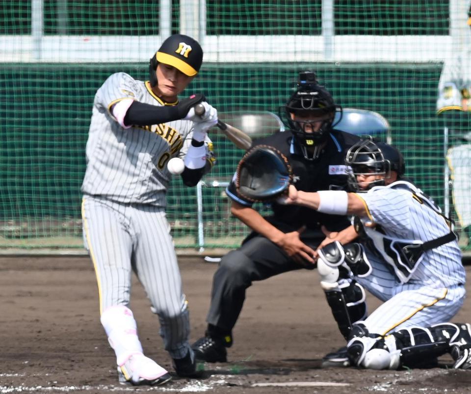 　４回、死球を受ける木浪（撮影・飯室逸平）