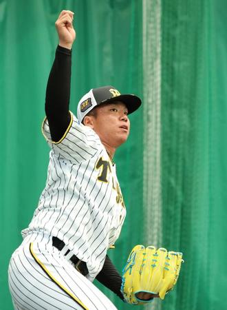 　ブルペンで投げ込む村上（撮影・中田匡峻）