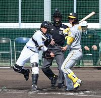 　３回、島田の二盗を阻止する梅野（打者・森下）＝撮影・飯室逸平