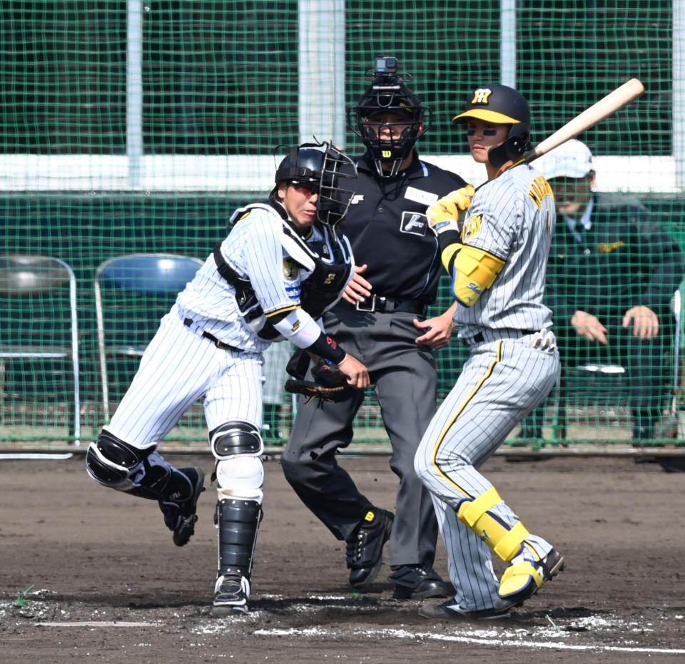 　３回、島田の二盗を阻止する梅野（打者・森下）＝撮影・飯室逸平