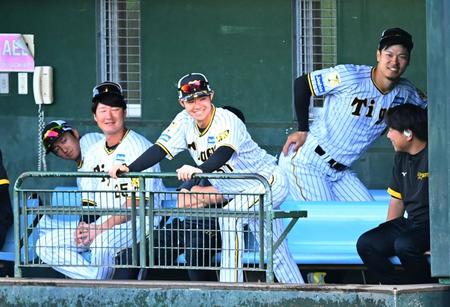 　ベンチで談笑する（右から）佐藤輝、中野ら（撮影・飯室逸平）